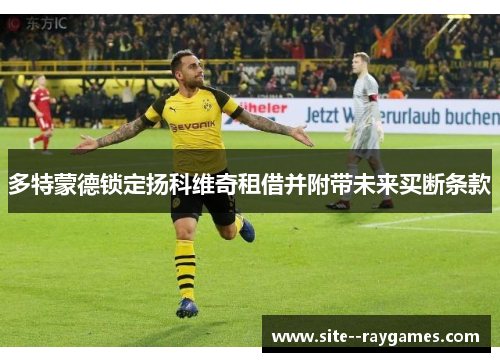 多特蒙德锁定扬科维奇租借并附带未来买断条款 多特蒙德锁定扬科维奇租借并附带未来买断条款